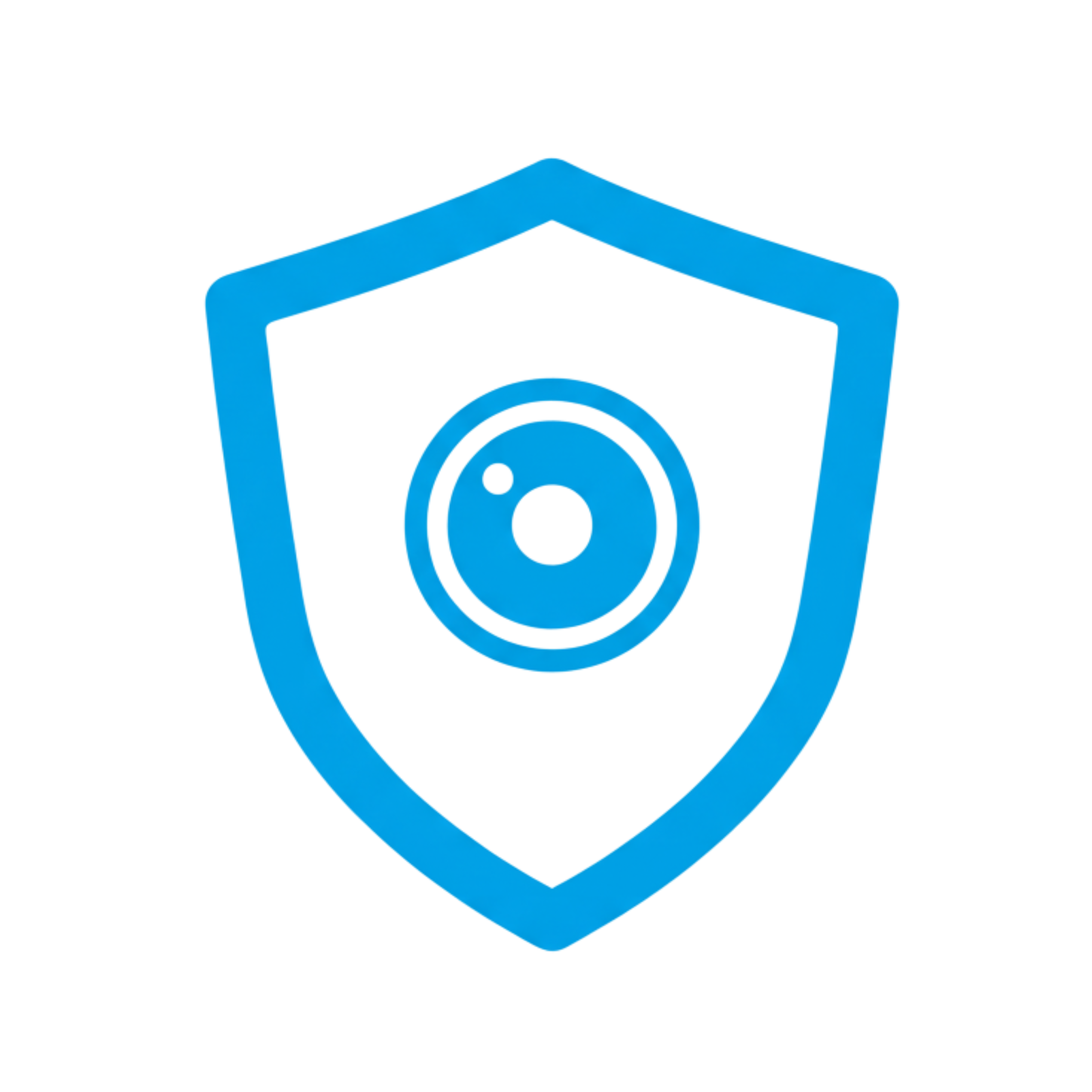 Security and Safety Icon